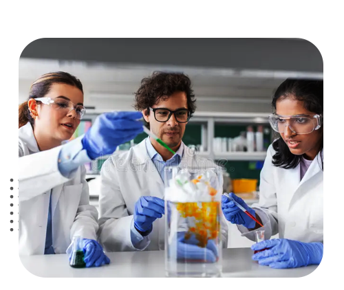 img-lab-2